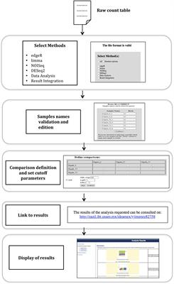 Integrative Differential Expression Analysis for Multiple EXperiments (IDEAMEX): A Web Server Tool for Integrated RNA-Seq Data Analysis